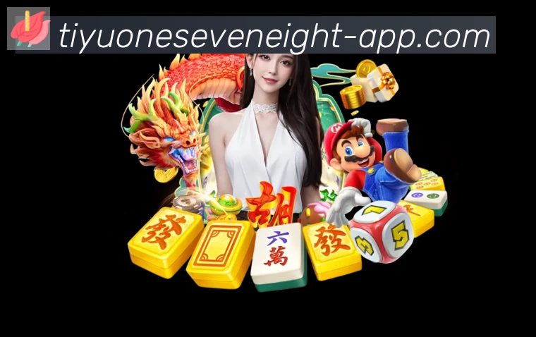 未来规划