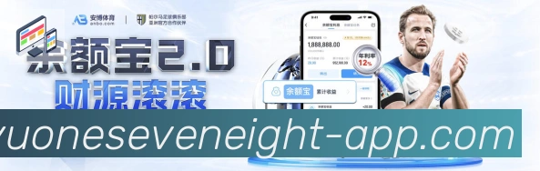 登录器